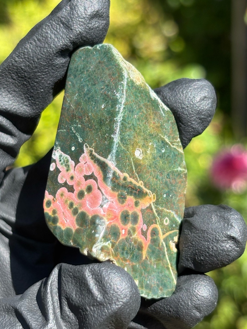 Ocean Jasper Crystal Freeform - Polished Sea Jasper